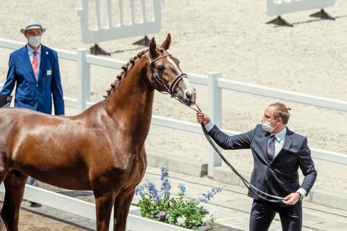 Photo post from fei_global.