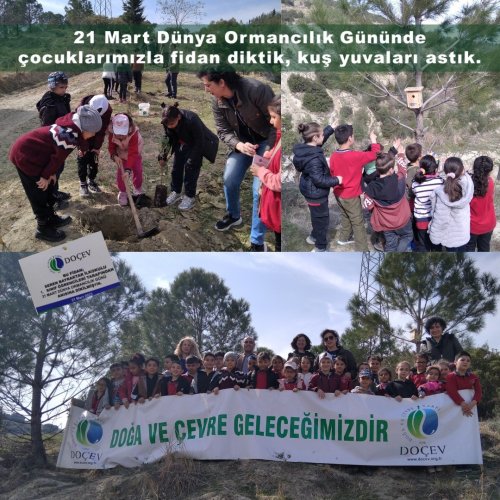Photo post from dogavecevrevakfi.