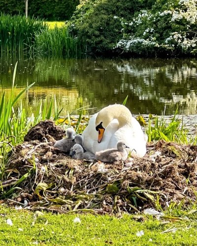 Photo post from themoathouse.