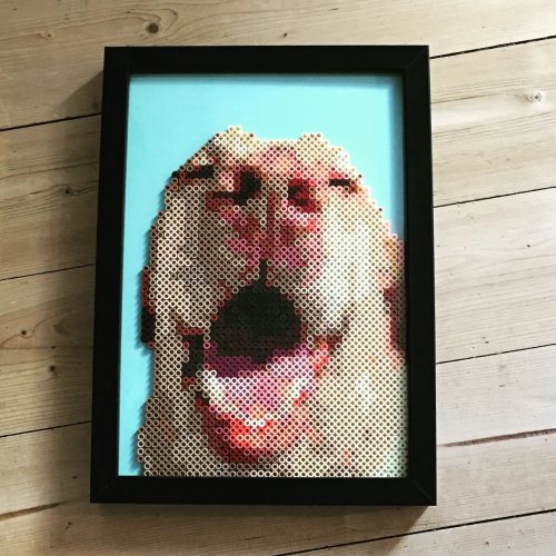 Photo post from caveofpixels.