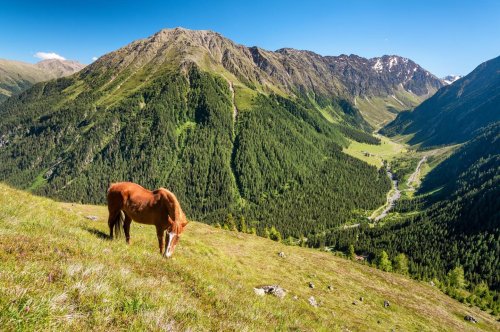 Photo post from innsbrucktourism.