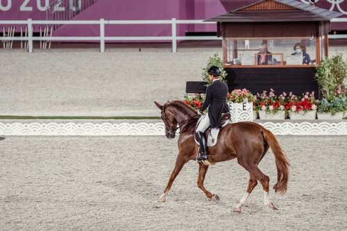 Photo post from fei_global.