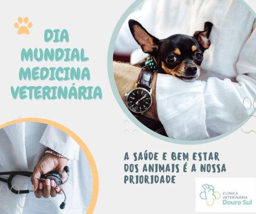 Photo post from clinica_veterinaria_dourosul.