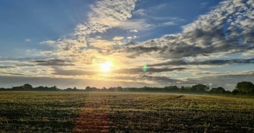 Photo post from kasarstays.