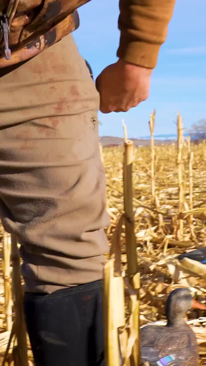 Video post from northernskiesoutfitters.