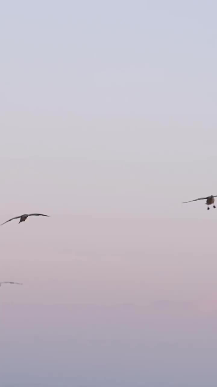 Video post from northernskiesoutfitters.