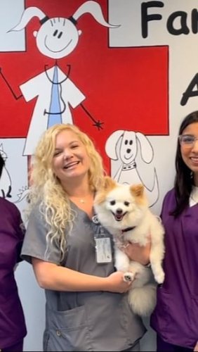 Video post from familyanimalhospitalcm.