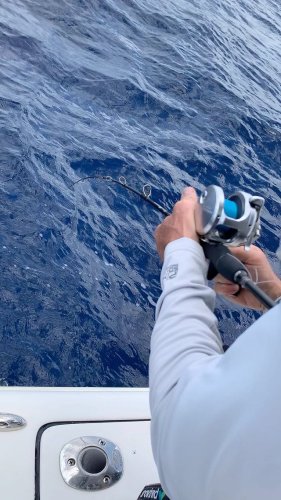 Video post from ejs_fishing_charters.
