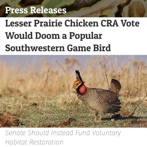 Photo post from nwfoutdoors.