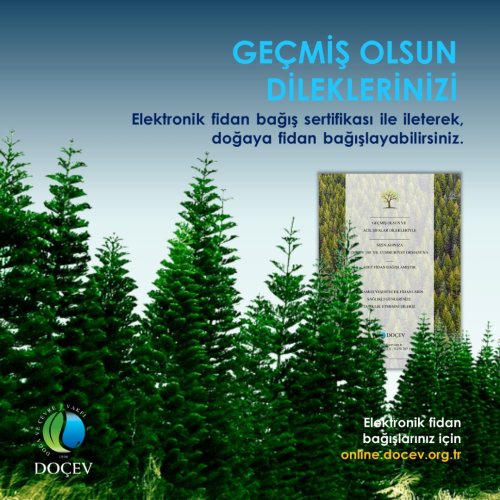 Photo post from dogavecevrevakfi.