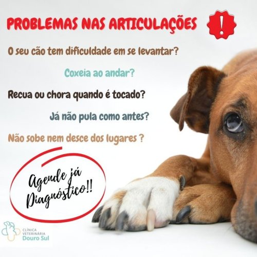 Photo post from clinica_veterinaria_dourosul.