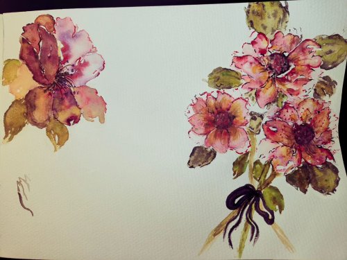 Photo post from a.minx.3.