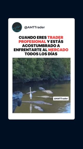 Video post from amttrader.