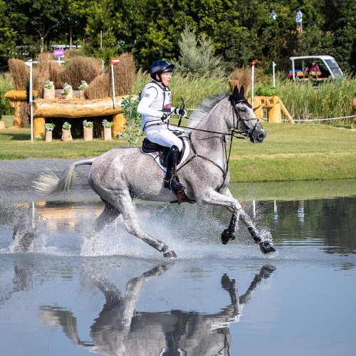 Carousel post from fei_global.