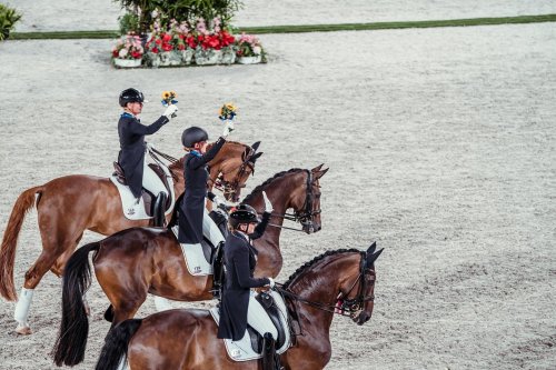 Carousel post from fei_global.