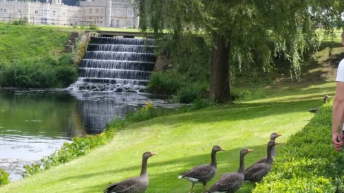 Photo post from kasarstays.