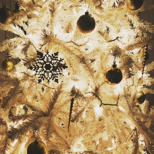 Photo post from nydreamer7.