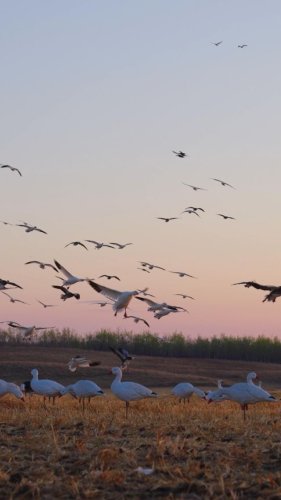 Video post from northernskiesoutfitters.