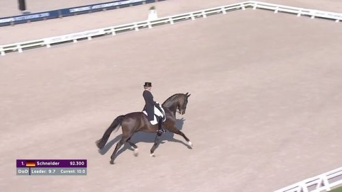 Video post from fei_global.