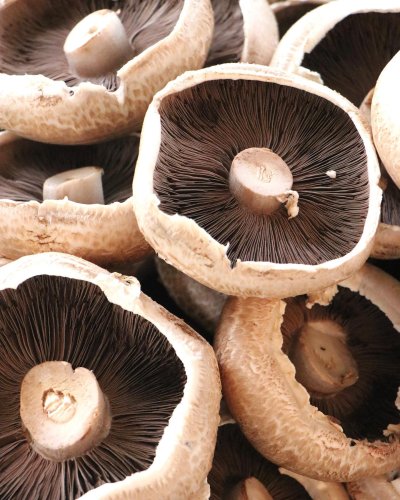 Carousel post from currumbinvalleyharvest.