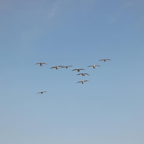 Photo post from northernskiesoutfitters.