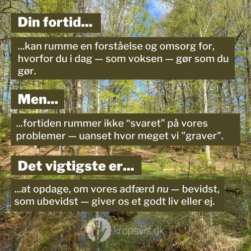 Photo post from kropsvis.