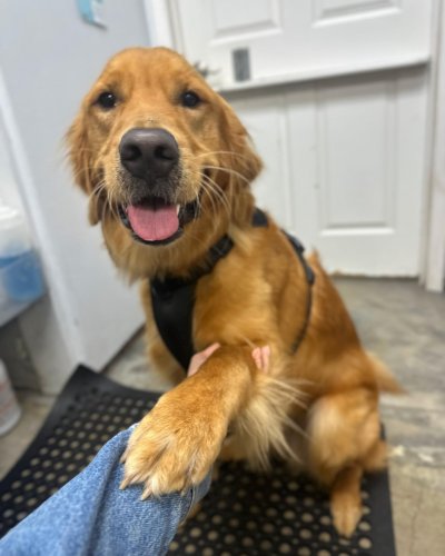 Carousel post from familyanimalhospitalcm.