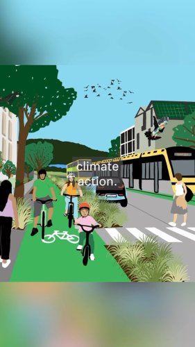 Video post from nzgreenparty.