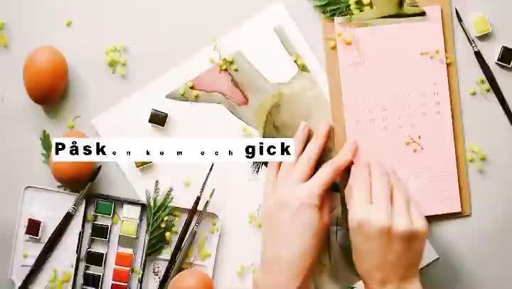 Video post from vellinge_bilbolag.