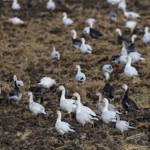 Photo post from northernskiesoutfitters.