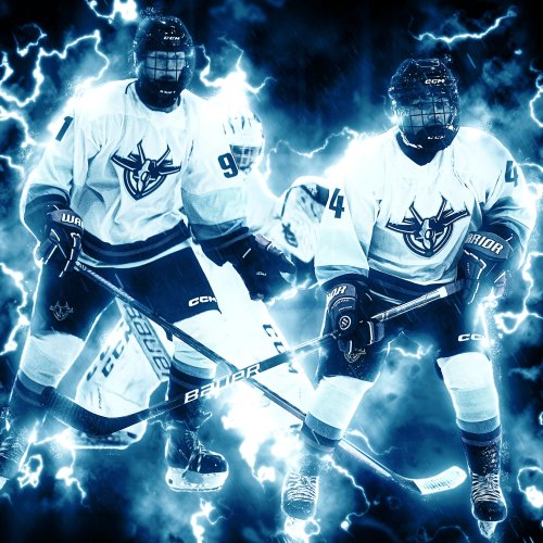 Photo post from orhlhockey.