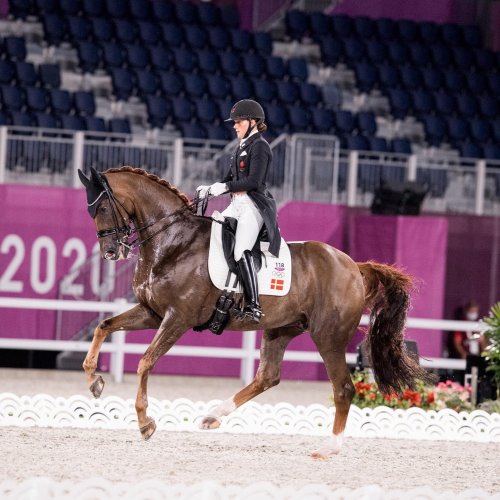 Photo post from fei_global.