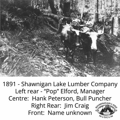 Photo post from shawniganlakemuseum.