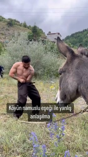 Video post from mehmetenliogluofficial.