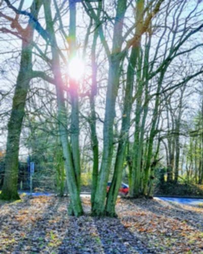 Photo post from kasarstays.