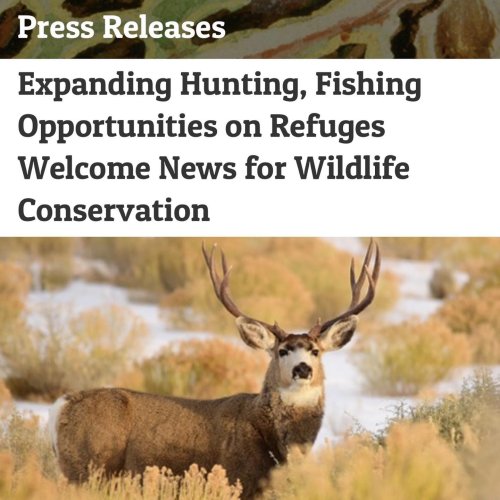 Photo post from nwfoutdoors.