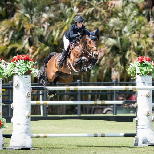 Carousel post from fei_global.