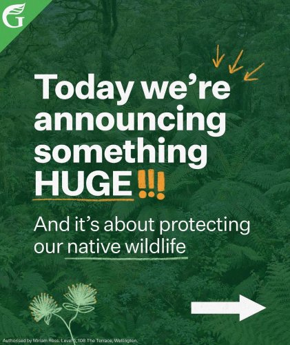 Carousel post from nzgreenparty.