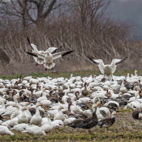 Photo post from northernskiesoutfitters.