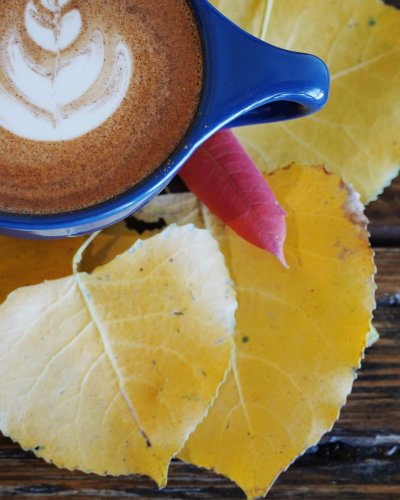 Photo post from nordaggioscoffee.