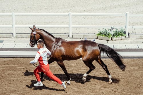 Photo post from fei_global.