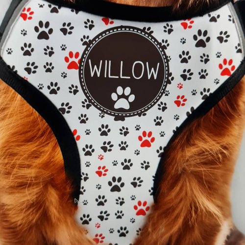 Photo post from furrypeeps.