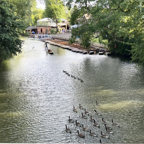 Carousel post from wadhamoxford.