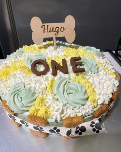 Carousel post from k9playtimedoggydaycare.