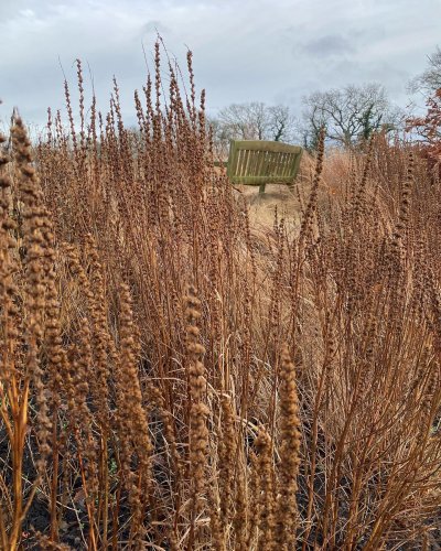 Photo post from sussexprairies.