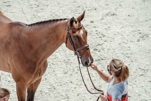 Photo post from fei_global.