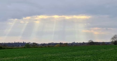 Photo post from kasarstays.