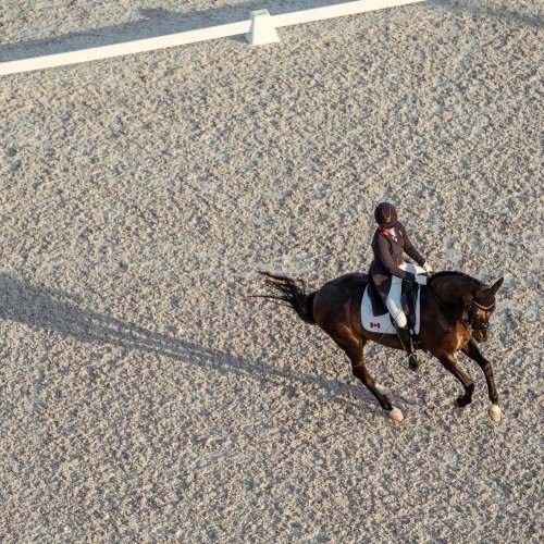 Carousel post from fei_global.