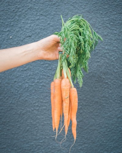 Carousel post from farmbox_arizona.