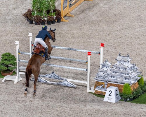 Carousel post from fei_global.